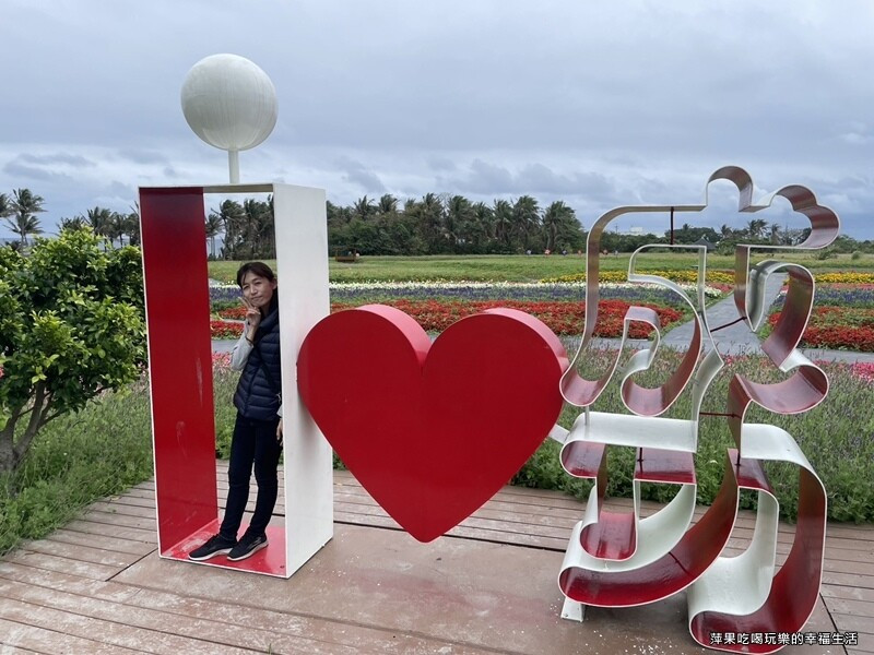 【台東。成功鎮】成功花海/賞花聽海/台11線最美花海/新地點面積2公頃更繽紛的花卉
