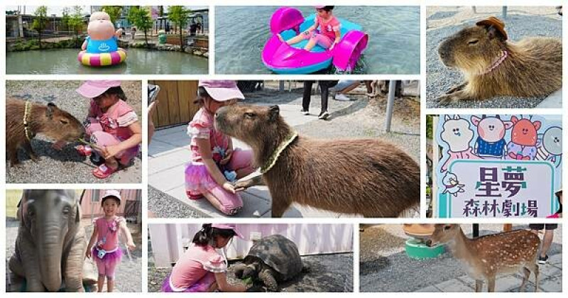宜蘭動物親子樂園|星夢森林劇場|天使星夢渡假村|可以跟水豚君握手|一票雙館玩|天鵝湖戲水池|星夢遊玩攻略|宜蘭親子景點