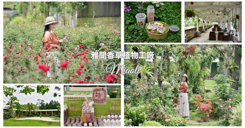 苗栗三義鄉｜雅聞香草植物工廠 玫瑰秘境多肉世界 親子共遊免費入園 森林系觀光工廠推薦