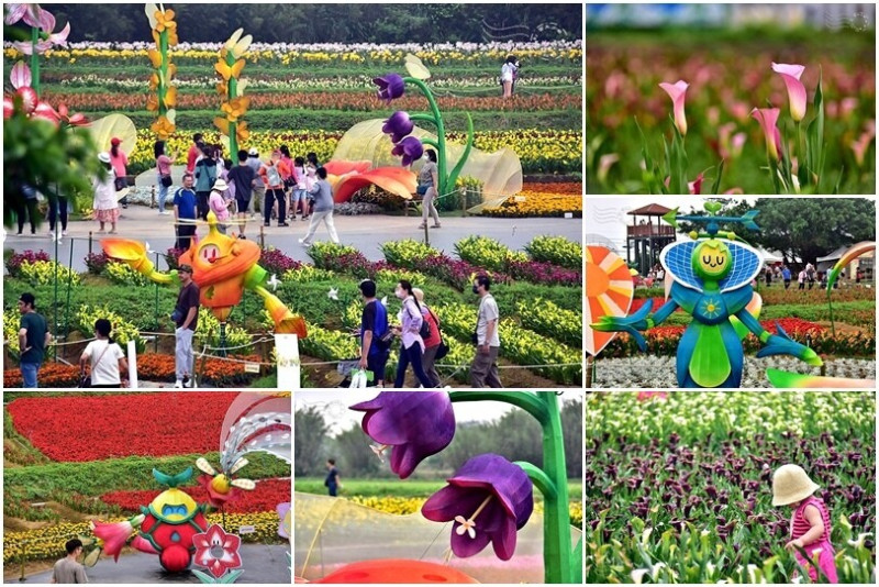 【2024桃園彩色海芋季】：繽紛花海，《花間遊記》巨大裝置藝術讓人輕鬆當網美