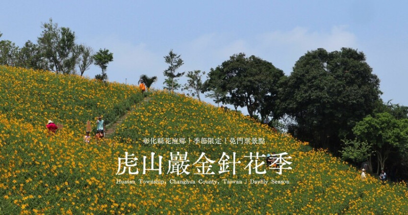 五-七月限定|彰化花壇鄉-虎山巖金針花季．母親節旅遊首選免門票景點，參訪三級古蹟、欣賞滿山金針花、數十家攤位好吃又好逛