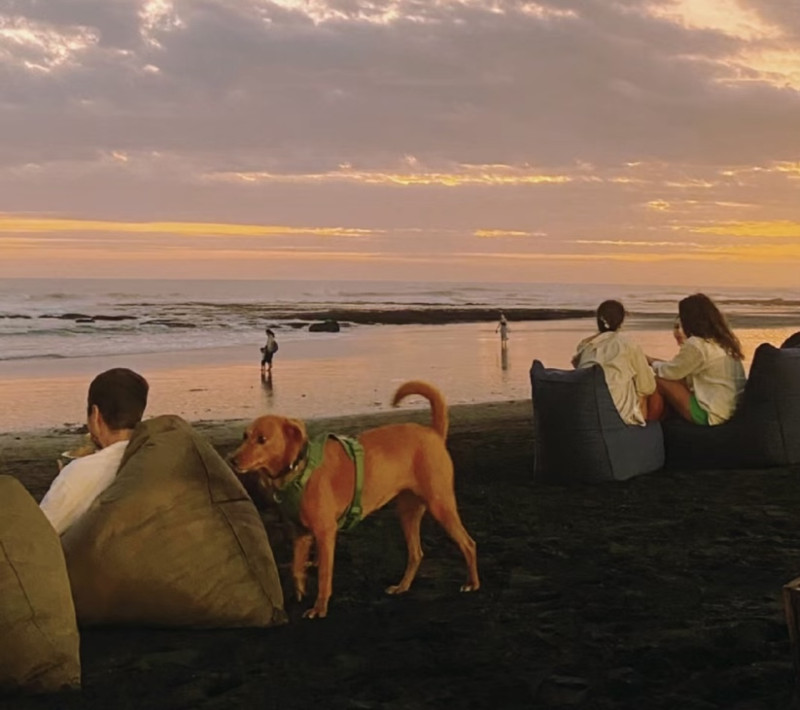 #峇里島🇮🇩文化行程+狗狗海灘