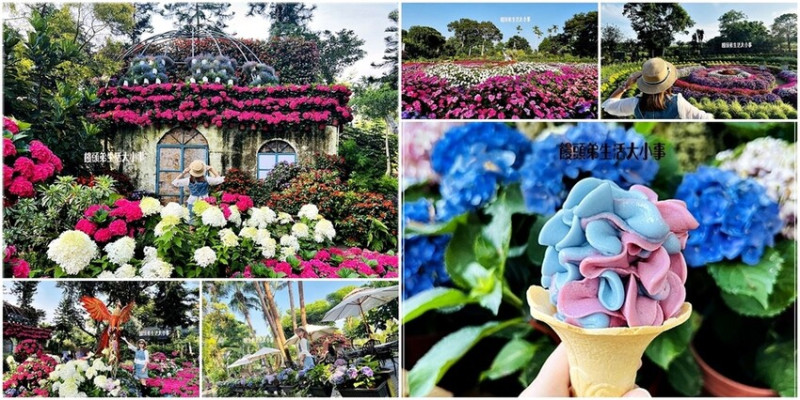 探索苗栗景點：花露農場6萬朵花海、繡球花小火車與夢幻霜淇淋！限時三個月的浪漫體驗