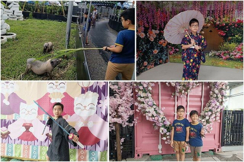 宜蘭縣礁溪鄉柯爺爺農場 | 宜蘭親子景點．近距離接觸小動物．免費變裝打卡趣．寵物友善園區