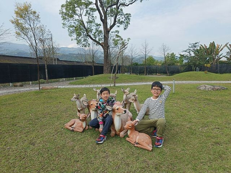 宜蘭縣三星鄉鹿爺爺農場 | 宜蘭親子景點．近距離餵食梅花鹿、跳跳羊、水豚君．奶瓶餵魚超有趣！