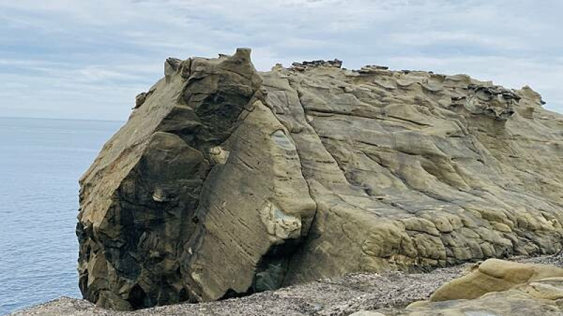 2024新北瑞芳最新打卡點│水豚君岩前身象鼻岩│免費腳架道具可以合影│享受碧海藍天海天一色絕美海景