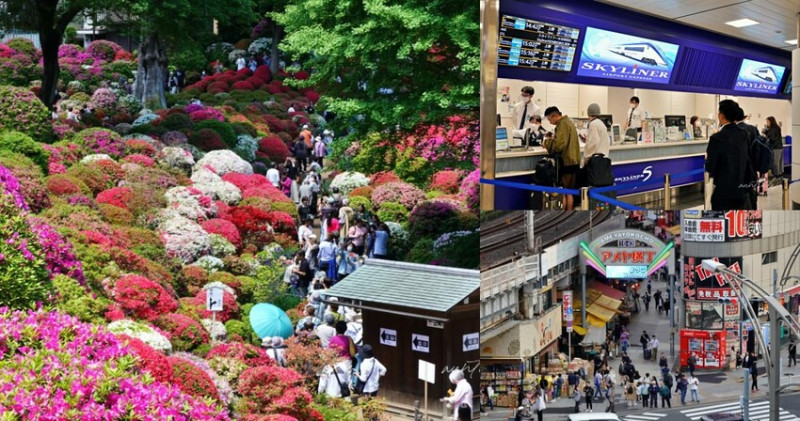 日本【成田機場交通】京成電鐵 Skyliner，41分鐘直達上野，上野逛街美食購物分享