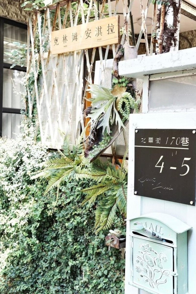 台南寵物寫真推薦｜8隻貓的全家福寫真｜克林姆與安淇拉攝影工作室