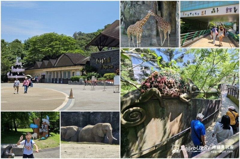 【台北景點】木柵動物園-台北親子木柵一日遊景點必玩/昆蟲館、爬蟲館、穿山甲館/台北市立動物園+貓空纜車 - 捲貓貪玩客