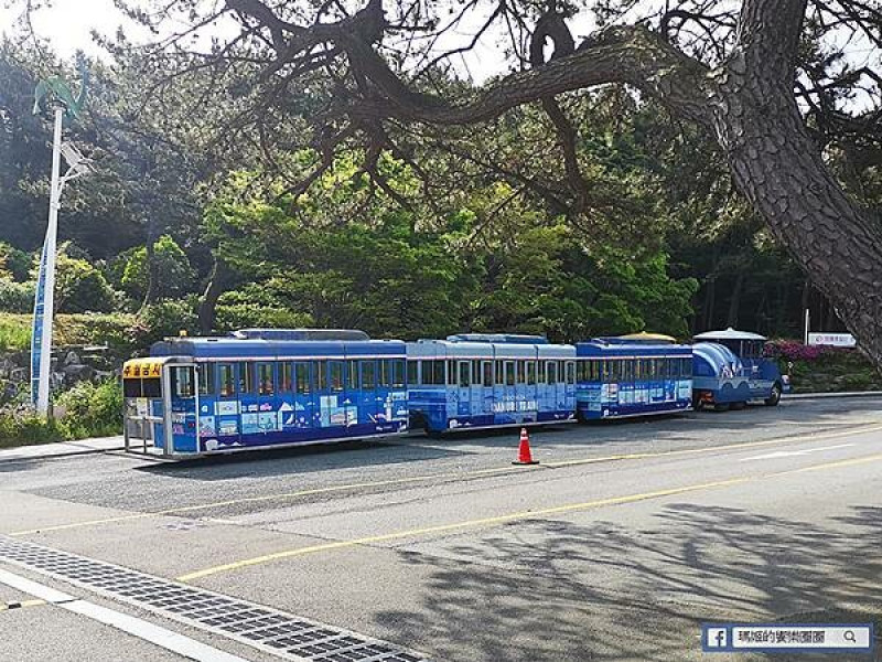 韓國釜山景點【太宗臺＋釜山國立海洋博物館】美麗海岸自然公園/親子旅遊景點