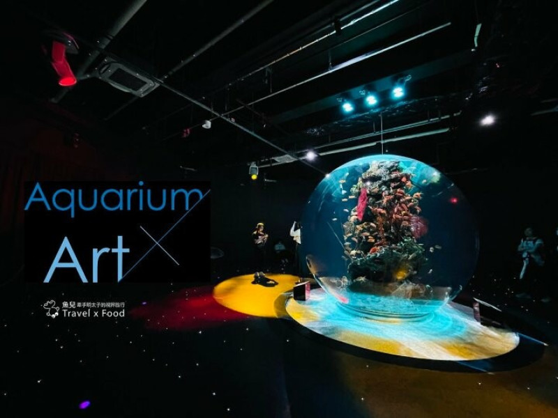 日本神戶a'toa藝術水族館｜集藝術與生物共存的新型城市水族館 - 魚兒 x 牽手明太子的「視」界旅行
