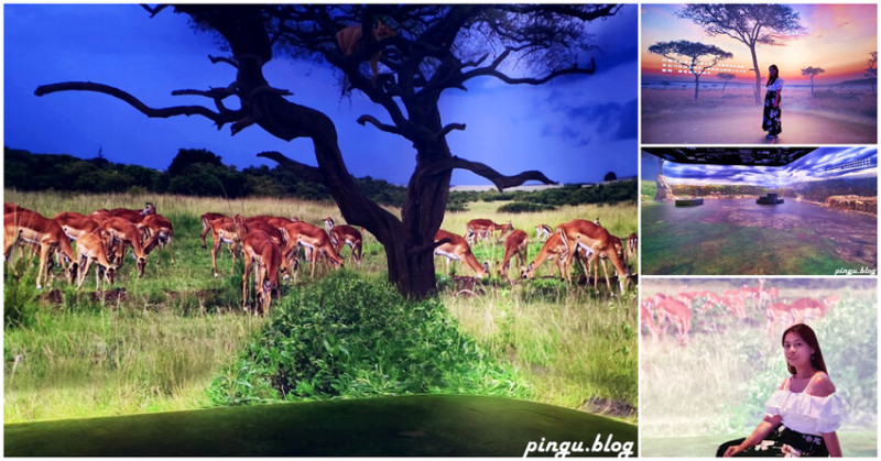 澳門澳門永利皇宮Illuminarium幻影空間 遨遊寰宇/荒野奇遇/交響綺旅三種特色主題