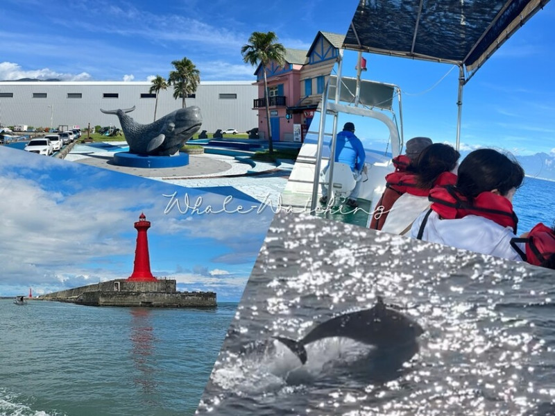 跟著花蓮鯨世界一起出海尋找鯨豚的蹤跡！從早晨六點的清晨微風到海上的涼爽微浪，每一刻都讓人心潮澎湃，來看看我們是如何捕捉那些難忘的鯨豚跳躍瞬間。