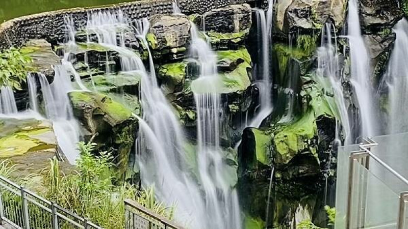 新北森林系景點│十分瀑布│台版尼加拉瀑布│輕鬆扺達四個觀瀑平台│享受芬多精負離子森林浴│鐵道吊橋瀑布步道│帶長輩去旅行│新北CP值高親民步道