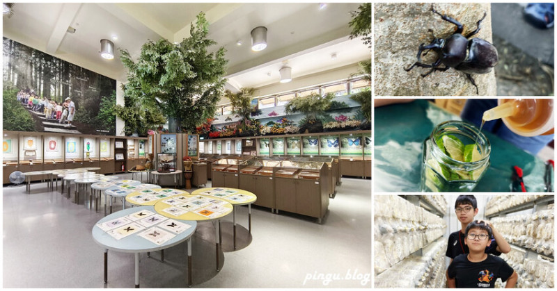 彰化縣社頭鄉卦山尋仙趣社頭｜社頭一日遊輕旅行 清水岩生態展示中心