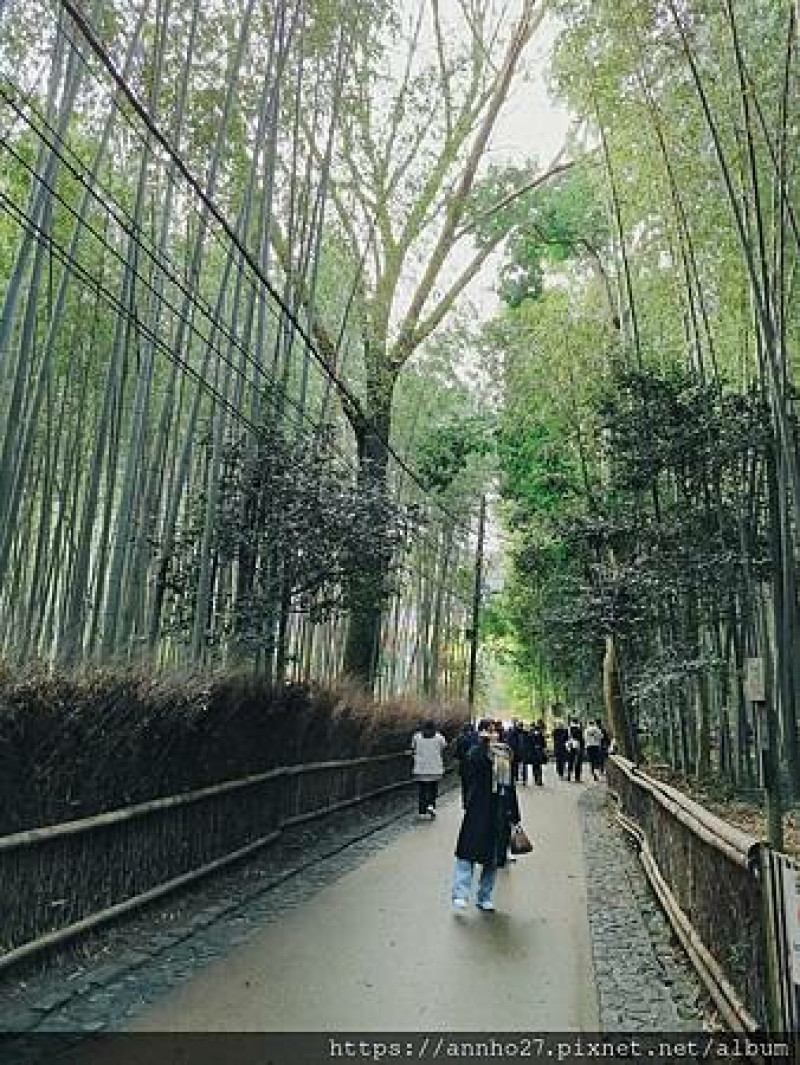 2022日本京都旅遊隨筆-D3