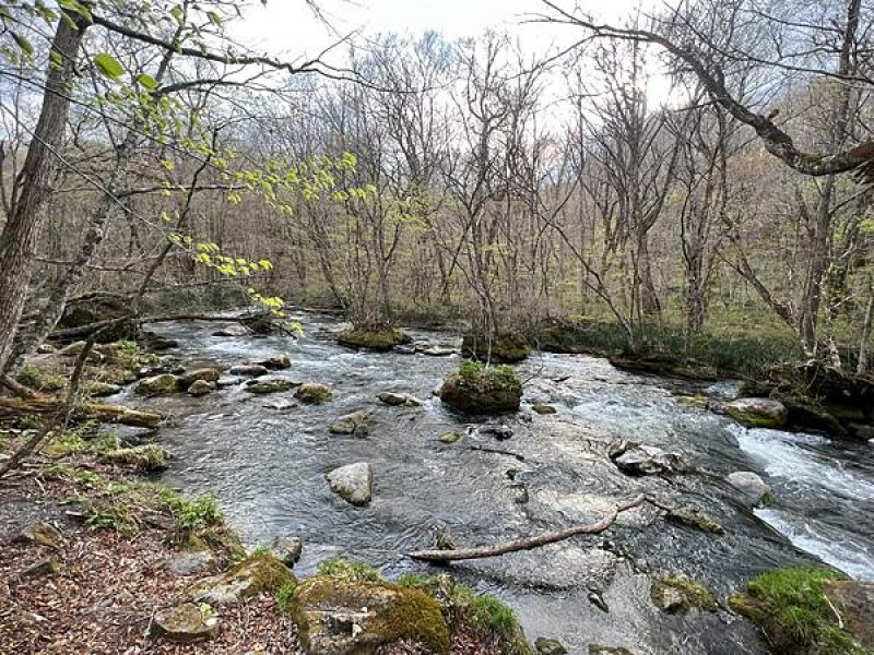 奧入瀨溪流一日慢走遊記：三亂の流れ、石戶休息站、阿修羅之流、雲井之淹 + 大推奧入瀨好吃的日意料理（日本東北函館白老自由行ep06）