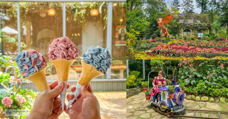 繡球花霜淇淋超美味！不只拍起來吸睛，這家農場還有蘭花和波波草的美麗景觀，讓你宛如置身國外，絕對是不用飛日本也能享受的超棒景點。