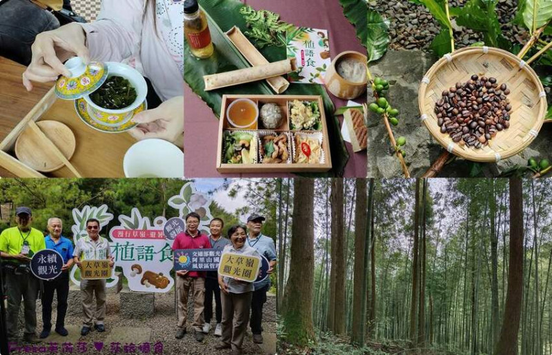 雲林縣古坑鄉雲林景點【植語食】大草嶺觀光圈「漫行草嶺避暑趣」草嶺石壁森林療癒基地.探索木馬古道竹林秘境│健行│品茗│咖啡