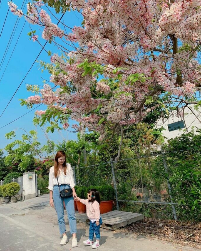 彰化田尾必去景點大集合！最全療癒花園到在地美食，隨時都能打卡。