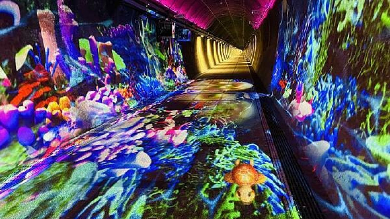 新北舊草嶺隧道藝術展！3D海底彩繪光影藝術，還能看龜山島美景。