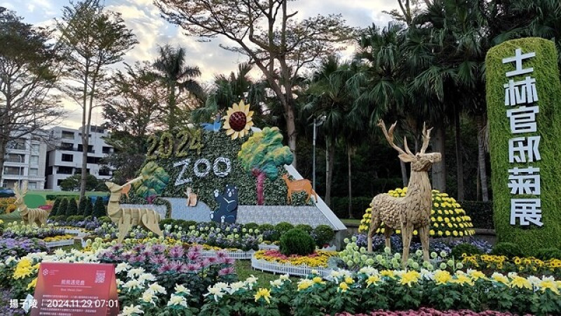 2024士林官邸菊展、菊伴動物派對，首次開放夜間賞花到晚上9點，活動日期：2024/11/29-12/15。