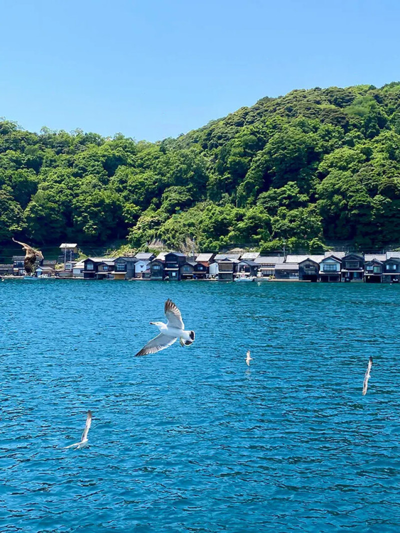 [京都] 海之京都－伊根舟屋、天橋立觀景台一日遊，日本三景之一，蔚藍海洋實在太美了！ kkday view land 日本威尼斯