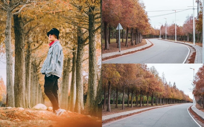 【台中景點】麗寶落羽松大道｜麗寶樂園免門票落羽松。連綿1公里超美黃綠紅夢幻大道。詳細地址攻略、拍照打卡點 - 貪吃猴的幻想