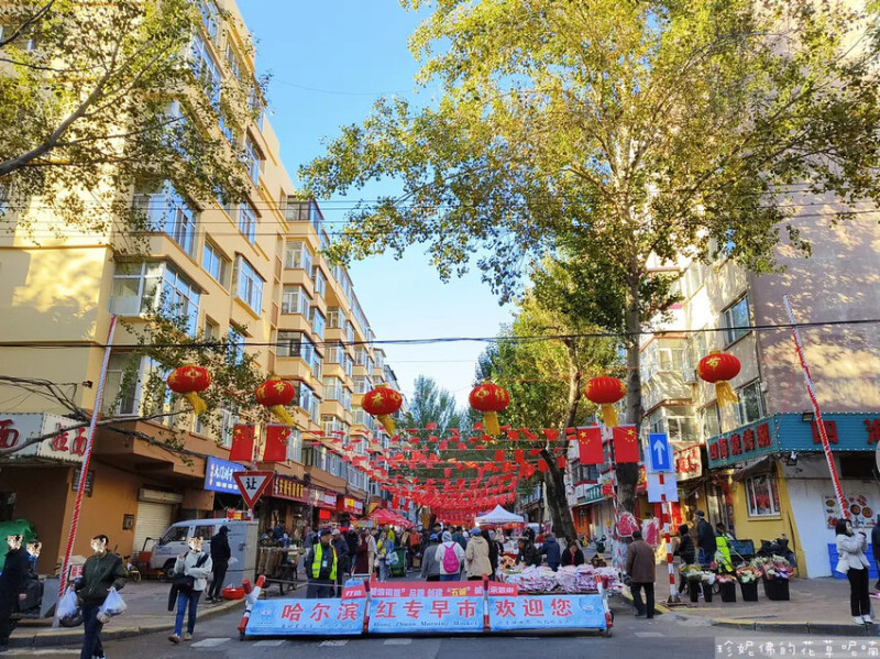 【黑龍江省哈爾濱市】哈爾濱紅專早市｜花姐蛋堡｜笨巧手包子｜紅姐油條現磨豆漿