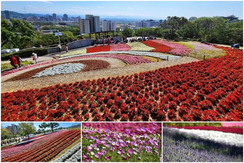 走春哪裡去？台北北投【三層崎公園】2025彩色浪花海，展期至3月底