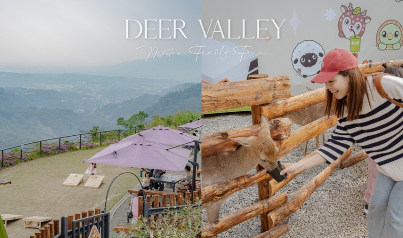 南投縣鹿谷鄉鹿芝谷生態園區｜溪頭路上的療癒系農場，水豚君、梅花鹿、黑面羊、多肉植物DIY