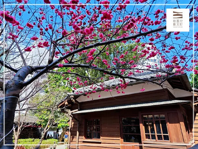 走走~桃園77藝文町︱來去桃園火車站旁日式老宅賞櫻、喝咖啡~
