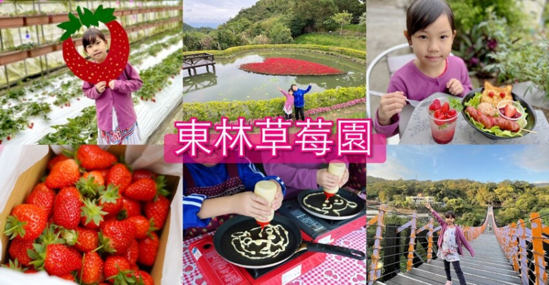 台北市內湖區【東林草莓園】台北內湖草莓季，草莓果醬鬆餅DIY、賞蜂趣，順遊白石湖吊橋及碧山巖