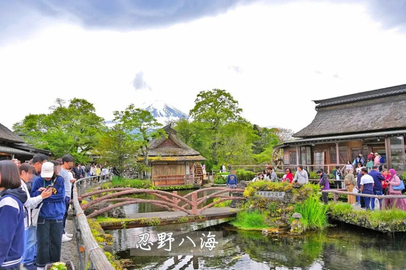 日本【日本河口湖】忍野八海✔世界遺產✔自然美景✔日式糰子、大栗子好吃