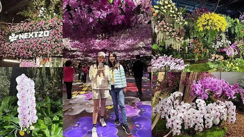 台南市後壁區[台南旅遊] 2023臺灣國際蘭展 蘭花魔鏡看見新起點 萌寵Orchidsaur新亮相 #台南後壁景點 @蛋寶趴趴go