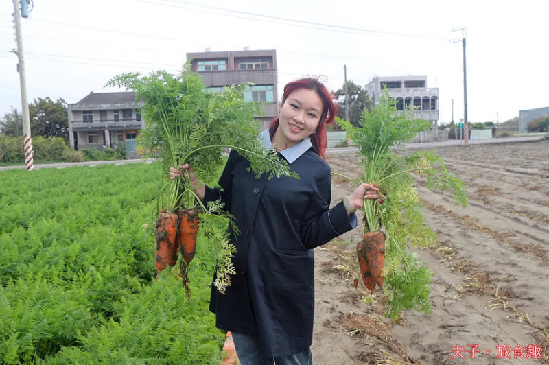 2025台南市將軍區紅蘿蔔木棉爭鮮搶艷同樂會 拔紅蘿蔔 X 賞木棉花
