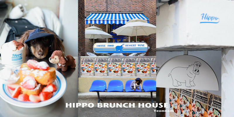 | 2025 醬醬的韓國快閃 | 延南洞新進網紅咖啡店、還是寵物友善的 HIPPO BRUNCH HOUSE