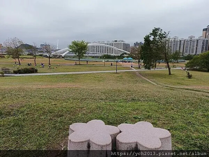 新北市新店區2025新店陽光公園賞櫻散步好悠閒！