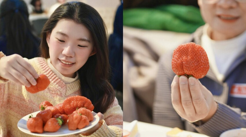 日本[日本美食] Sweets Paradise 甜點吃到飽日幣1690元｜草莓季限定「草莓之王」吃到飽🍓