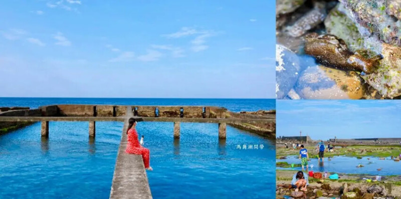 東北角親子旅遊推薦「馬崗潮間帶」生態觀察超好玩! 小螃蟹、海星陪你玩水探索!