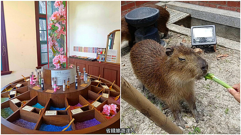 台南市安平區台南景點｜安平出張所,DIY生日鹽御守,可愛水豚君,免門票喔!