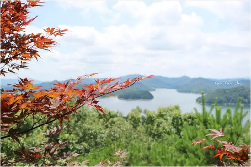 [韓國清州]青南台(청남대) |韓國總統的度假勝地！溫暖的南部「青瓦台」，依山傍水景色怡人。