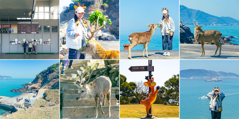 連江縣北竿鄉大坵島不只看鹿！藍調時光活動＋拍照熱點，一次玩透馬祖秘境