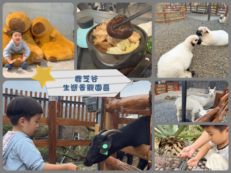 南投縣鹿谷鄉門票全額折抵玩樂免費送！《鹿芝谷生態景觀園區》5大親子亮點，全台少見的多種類萌寵天堂，還有多種DIY多肉遊戲區。水豚、黑鼻羊、梅花鹿、陸龜等。