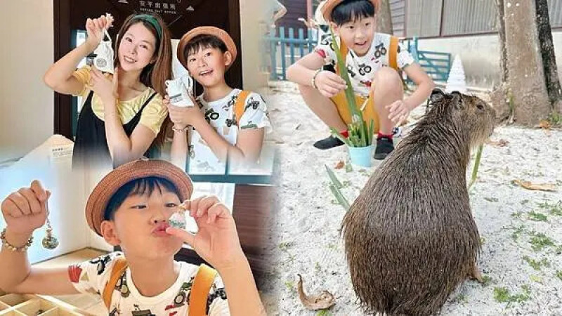 台南市安平區台南免費景點推薦 安平也有水豚君出沒？來安平出張所看水豚泡水、一起解熱，連心情都跟著好解壓～