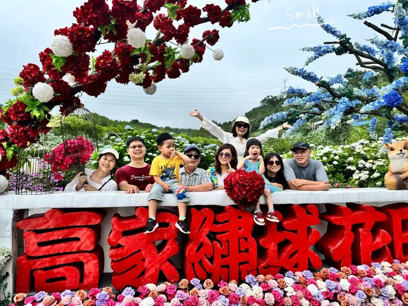 全台最大繡球花田【高家繡球花_萬里第三園區】有夢幻花海與造景，彩球花廊最吸睛，快來美拍一波｜新北景點