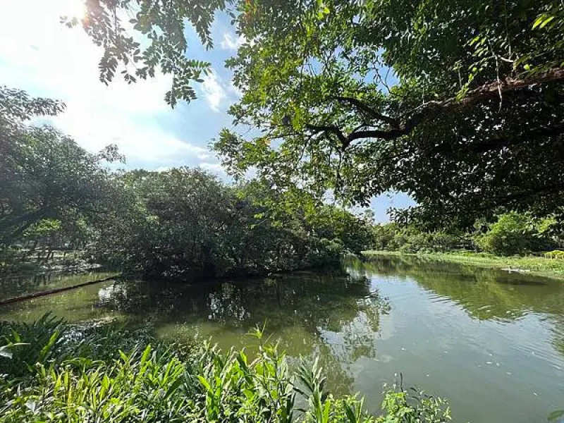 台北親子景點推薦_大安森林公園(賞花、野餐、音樂會)