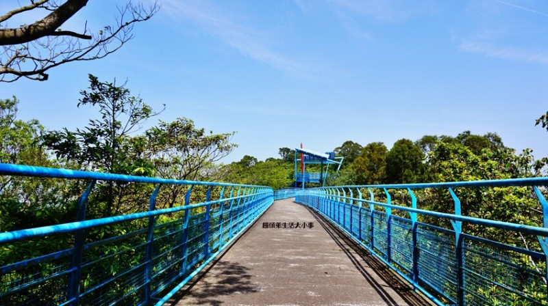 苗栗九華山藍色天空之橋｜漫步天空步道賞茶園、桐花、遠眺海岸線美景