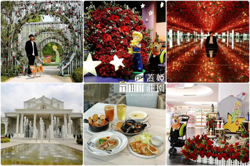 2025嘉義網美景點推薦！蓋婭莊園x康倪時代美學生技園區，全台首座希臘美學觀光莊園，周末安排到這個好玩、好拍、又好逛的嘉義景點走走吧