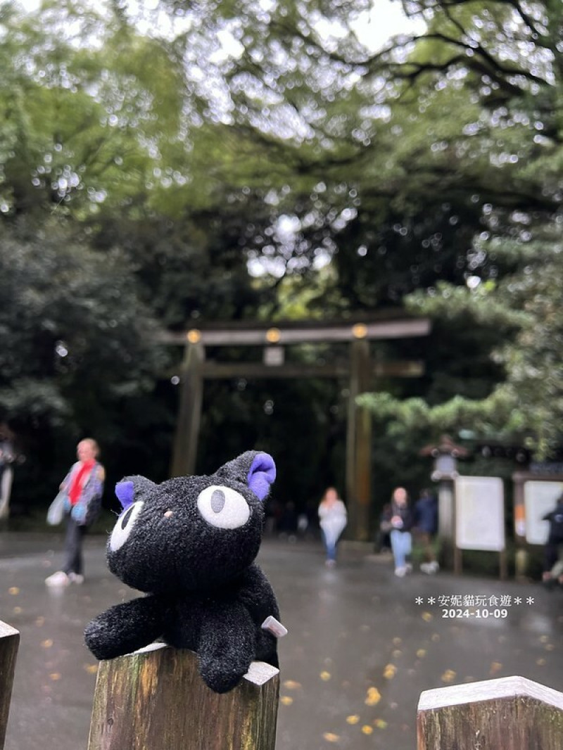 日本【2024日本關東。哈利波特的東京之旅】雨中的明治神宮（二訪）